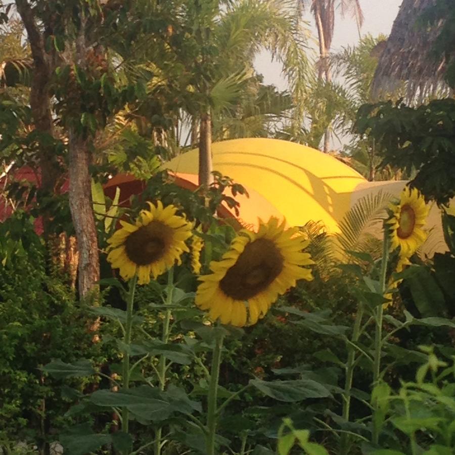 Pakasai Resort Nua Klong Ban Nua Khlong Dış mekan fotoğraf